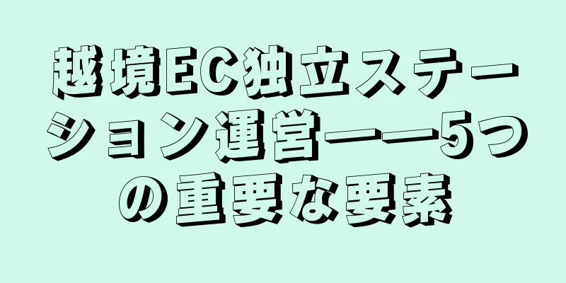 越境EC独立ステーション運営――5つの重要な要素