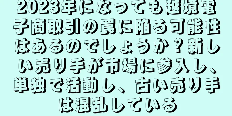 2023年になっても越境電子商取引の罠に陥る可能性はあるのでしょうか？新しい売り手が市場に参入し、単独で活動し、古い売り手は混乱している