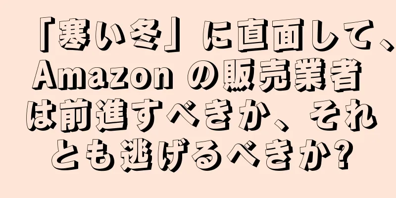 「寒い冬」に直面して、Amazon の販売業者は前進すべきか、それとも逃げるべきか?
