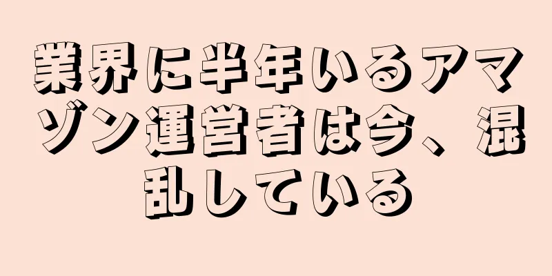 業界に半年いるアマゾン運営者は今、混乱している