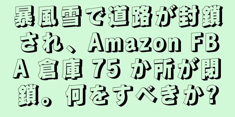 暴風雪で道路が封鎖され、Amazon FBA 倉庫 75 か所が閉鎖。何をすべきか?