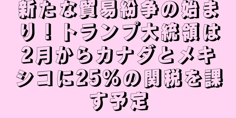 新たな貿易紛争の始まり！トランプ大統領は2月からカナダとメキシコに25%の関税を課す予定
