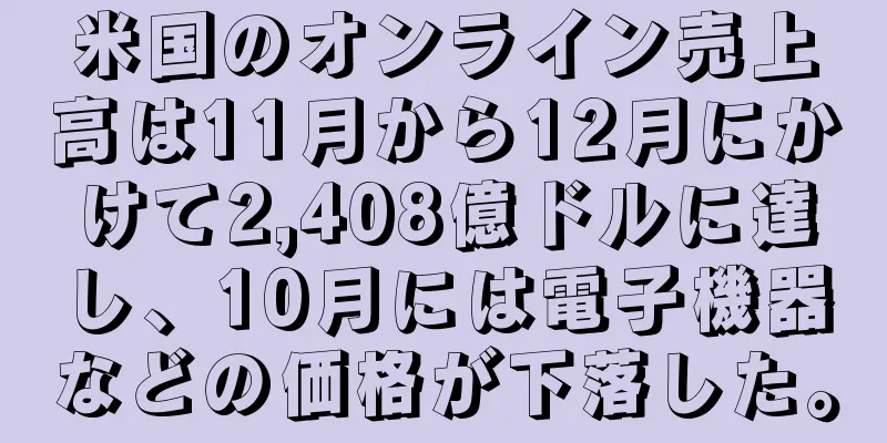 米国のオンライン売上高は11月から12月にかけて2,408億ドルに達し、10月には電子機器などの価格が下落した。