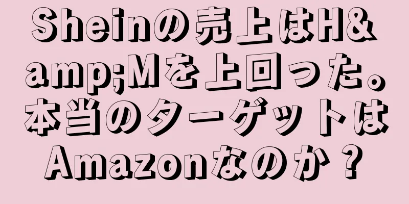Sheinの売上はH&Mを上回った。本当のターゲットはAmazonなのか？
