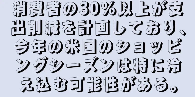 消費者の30％以上が支出削減を計画しており、今年の米国のショッピングシーズンは特に冷え込む可能性がある。
