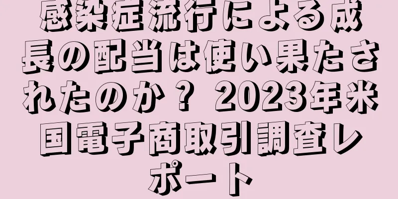 感染症流行による成長の配当は使い果たされたのか？ 2023年米国電子商取引調査レポート