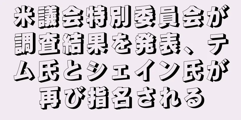米議会特別委員会が調査結果を発表、テム氏とシェイン氏が再び指名される