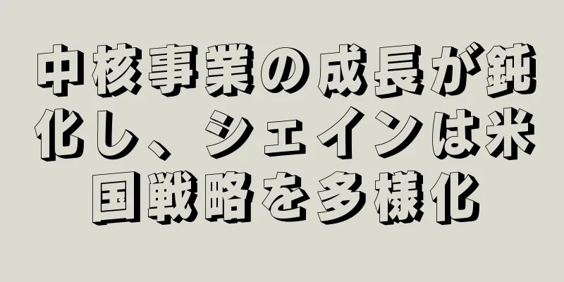 中核事業の成長が鈍化し、シェインは米国戦略を多様化