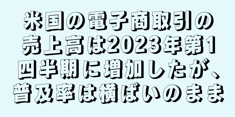 米国の電子商取引の売上高は2023年第1四半期に増加したが、普及率は横ばいのまま