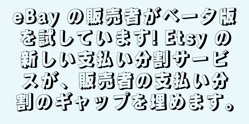 eBay の販売者がベータ版を試しています! Etsy の新しい支払い分割サービスが、販売者の支払い分割のギャップを埋めます。