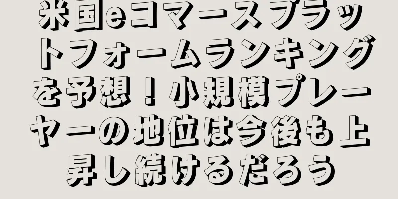 米国eコマースプラットフォームランキングを予想！小規模プレーヤーの地位は今後も上昇し続けるだろう