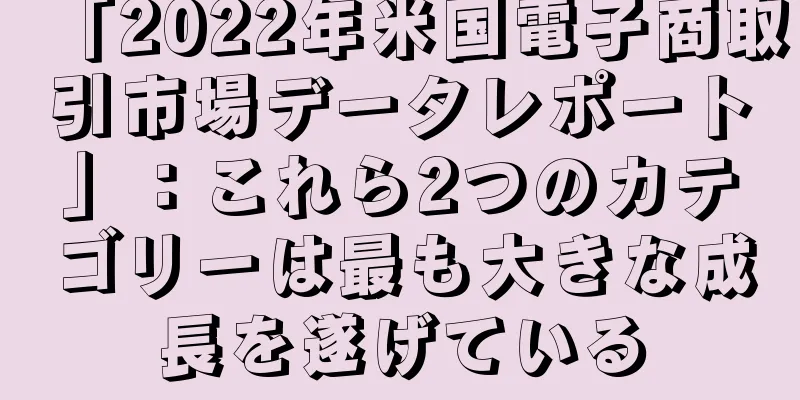 「2022年米国電子商取引市場データレポート」：これら2つのカテゴリーは最も大きな成長を遂げている