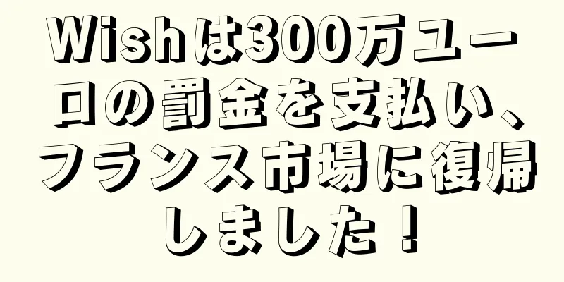 Wishは300万ユーロの罰金を支払い、フランス市場に復帰しました！