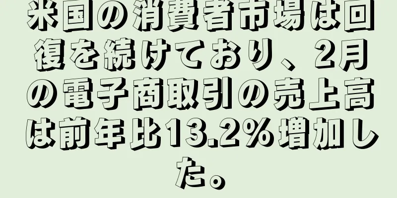 米国の消費者市場は回復を続けており、2月の電子商取引の売上高は前年比13.2％増加した。