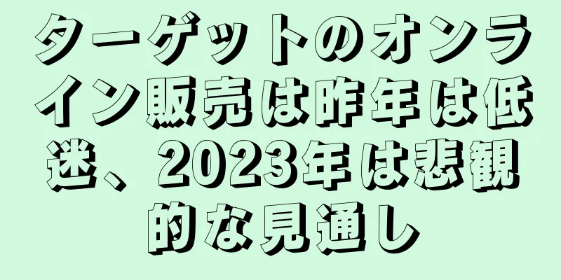 ターゲットのオンライン販売は昨年は低迷、2023年は悲観的な見通し