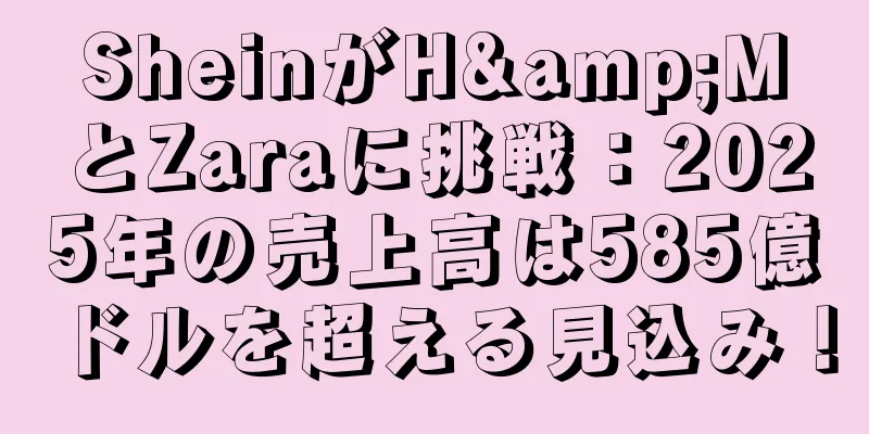 SheinがH&MとZaraに挑戦：2025年の売上高は585億ドルを超える見込み！