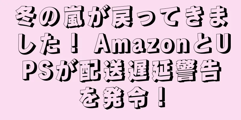冬の嵐が戻ってきました！ AmazonとUPSが配送遅延警告を発令！