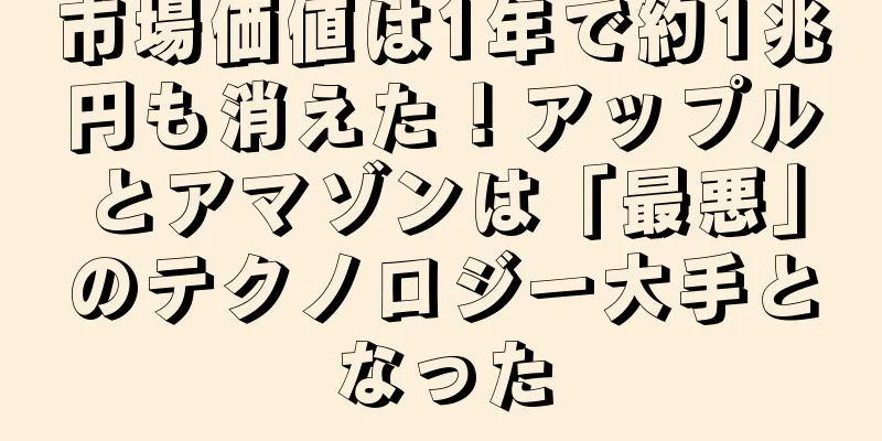 市場価値は1年で約1兆円も消えた！アップルとアマゾンは「最悪」のテクノロジー大手となった