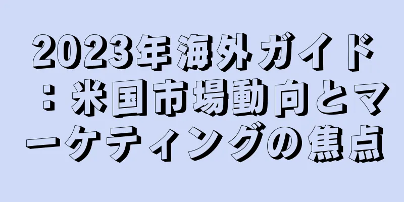 2023年海外ガイド：米国市場動向とマーケティングの焦点