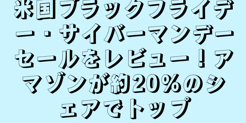 米国ブラックフライデー・サイバーマンデーセールをレビュー！アマゾンが約20%のシェアでトップ