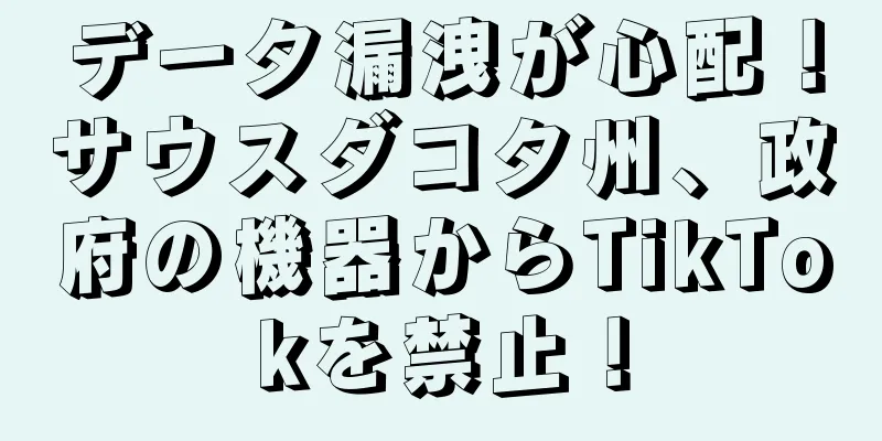 データ漏洩が心配！サウスダコタ州、政府の機器からTikTokを禁止！