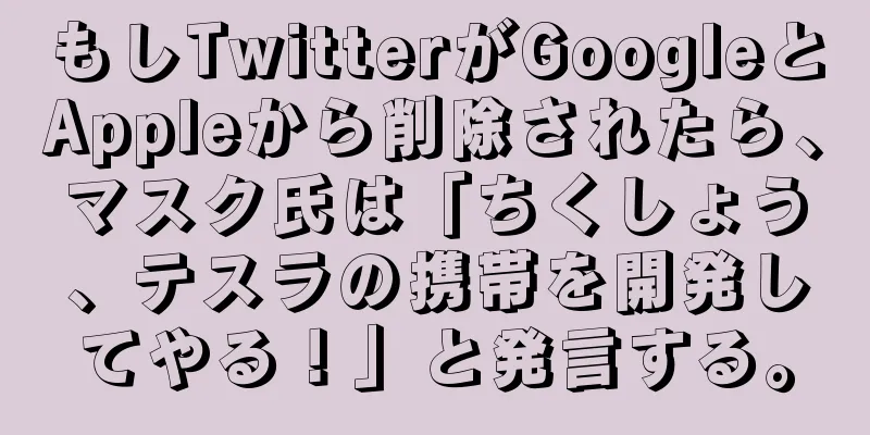 もしTwitterがGoogleとAppleから削除されたら、マスク氏は「ちくしょう、テスラの携帯を開発してやる！」と発言する。