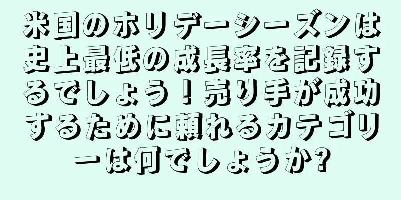 米国のホリデーシーズンは史上最低の成長率を記録するでしょう！売り手が成功するために頼れるカテゴリーは何でしょうか?