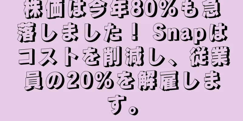 株価は今年80％も急落しました！ Snapはコストを削減し、従業員の20%を解雇します。