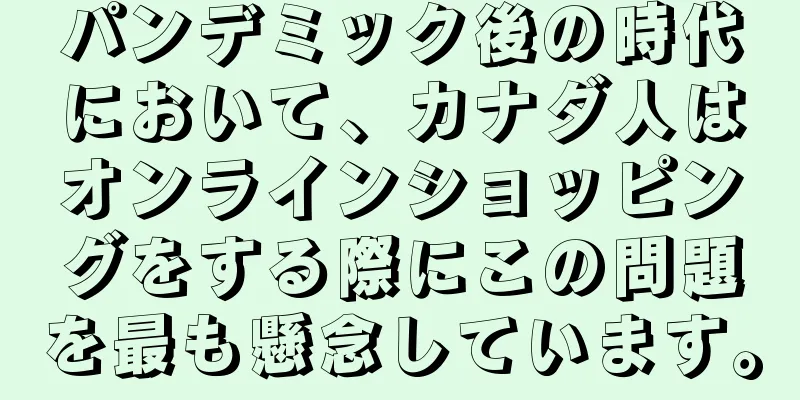 パンデミック後の時代において、カナダ人はオンラインショッピングをする際にこの問題を最も懸念しています。
