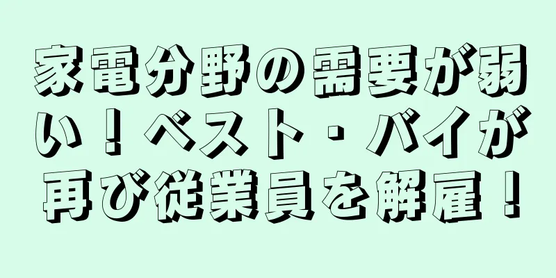 家電分野の需要が弱い！ベスト・バイが再び従業員を解雇！