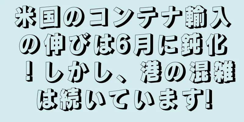 米国のコンテナ輸入の伸びは6月に鈍化！しかし、港の混雑は続いています!