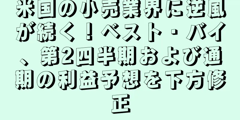 米国の小売業界に逆風が続く！ベスト・バイ、第2四半期および通期の利益予想を下方修正