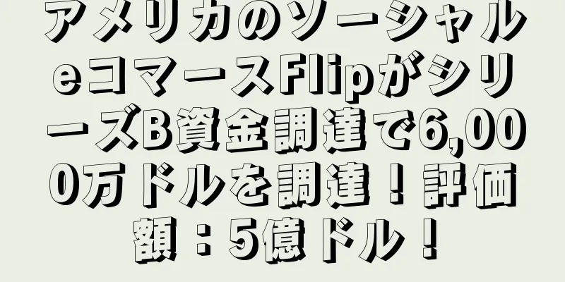 アメリカのソーシャルeコマースFlipがシリーズB資金調達で6,000万ドルを調達！評価額：5億ドル！