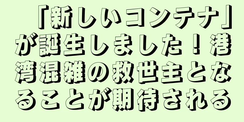 「新しいコンテナ」が誕生しました！港湾混雑の救世主となることが期待される