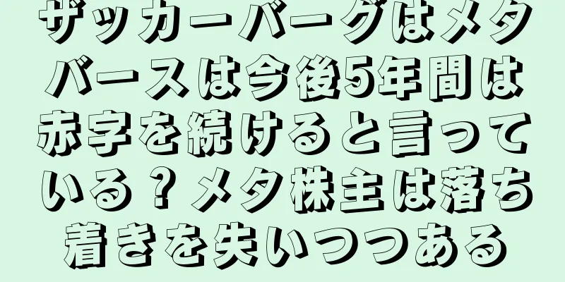 ザッカーバーグはメタバースは今後5年間は赤字を続けると言っている？メタ株主は落ち着きを失いつつある