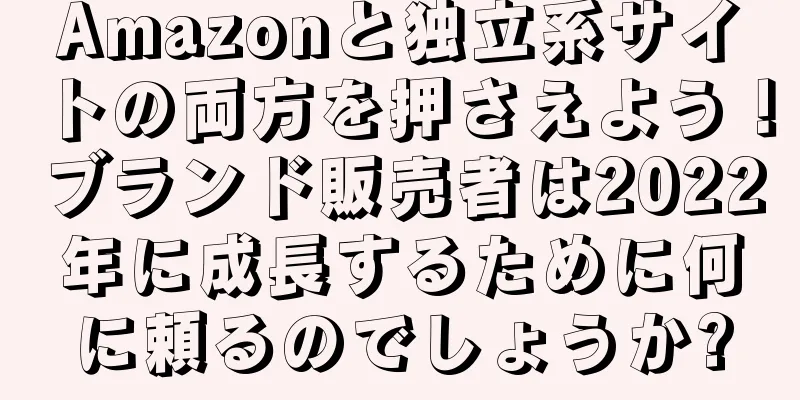 Amazonと独立系サイトの両方を押さえよう！ブランド販売者は2022年に成長するために何に頼るのでしょうか?