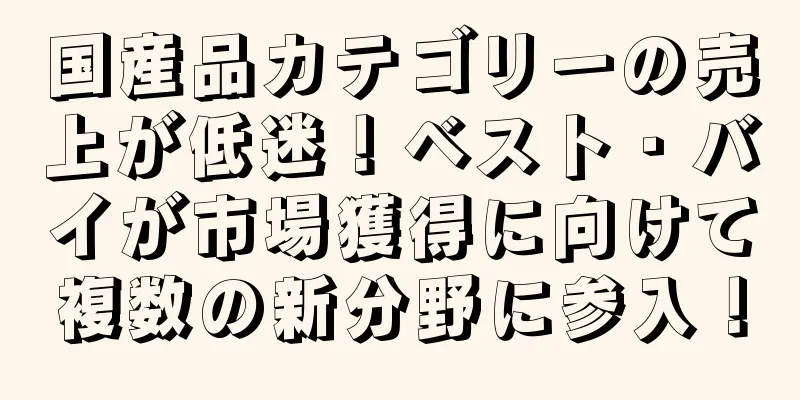国産品カテゴリーの売上が低迷！ベスト・バイが市場獲得に向けて複数の新分野に参入！