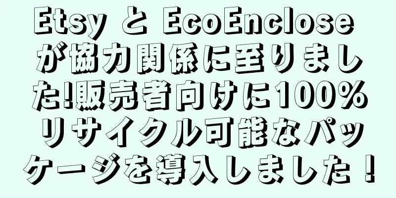 Etsy と EcoEnclose が協力関係に至りました!販売者向けに100%リサイクル可能なパッケージを導入しました！
