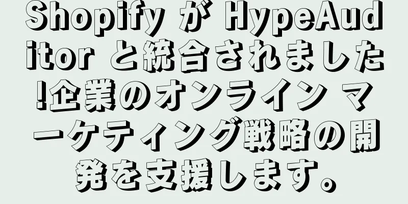 Shopify が HypeAuditor と統合されました!企業のオンライン マーケティング戦略の開発を支援します。