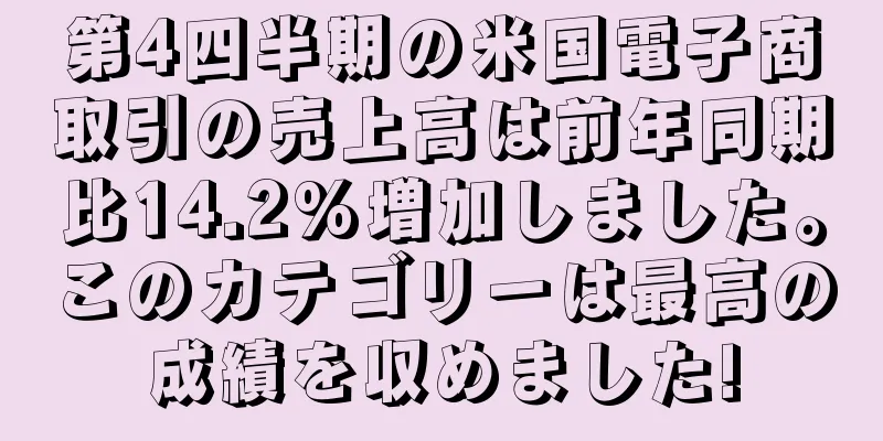 第4四半期の米国電子商取引の売上高は前年同期比14.2%増加しました。このカテゴリーは最高の成績を収めました!