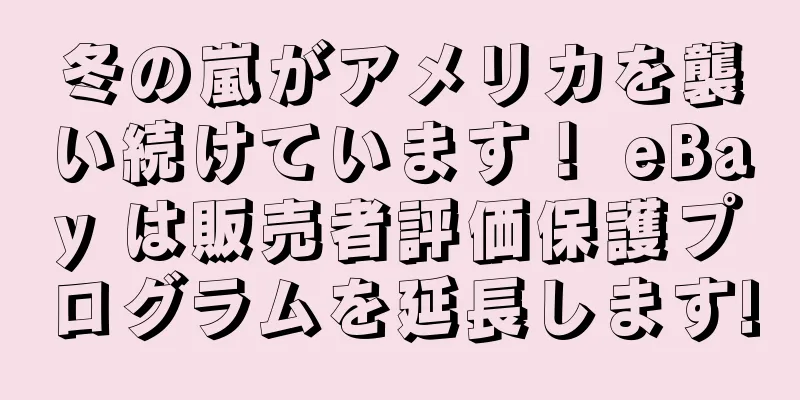 冬の嵐がアメリカを襲い続けています！ eBay は販売者評価保護プログラムを延長します!
