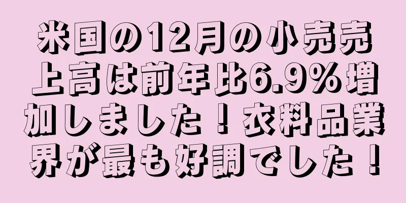 米国の12月の小売売上高は前年比6.9%増加しました！衣料品業界が最も好調でした！