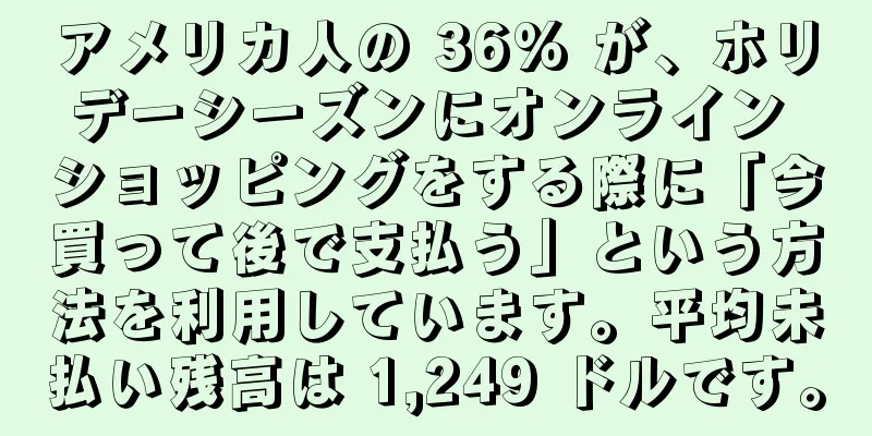 アメリカ人の 36% が、ホリデーシーズンにオンライン ショッピングをする際に「今買って後で支払う」という方法を利用しています。平均未払い残高は 1,249 ドルです。