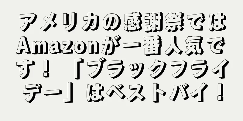 アメリカの感謝祭ではAmazonが一番人気です！ 「ブラックフライデー」はベストバイ！