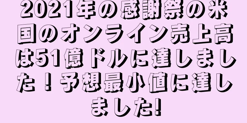 2021年の感謝祭の米国のオンライン売上高は51億ドルに達しました！予想最小値に達しました!