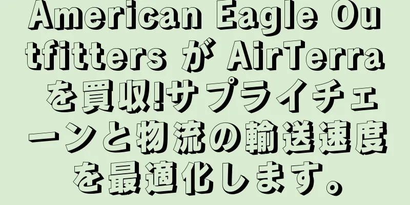 American Eagle Outfitters が AirTerra を買収!サプライチェーンと物流の輸送速度を最適化します。