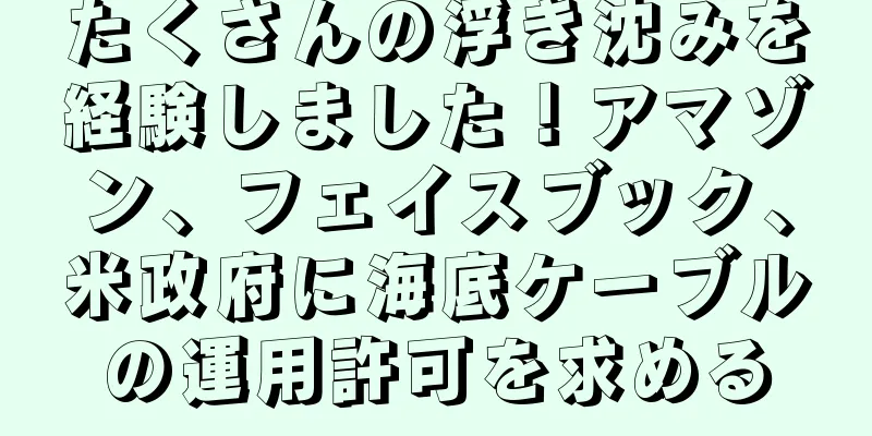 たくさんの浮き沈みを経験しました！アマゾン、フェイスブック、米政府に海底ケーブルの運用許可を求める