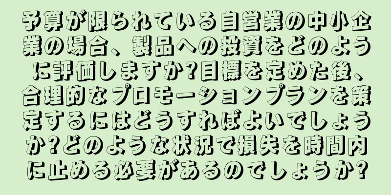 予算が限られている自営業の中小企業の場合、製品への投資をどのように評価しますか?目標を定めた後、合理的なプロモーションプランを策定するにはどうすればよいでしょうか?どのような状況で損失を時間内に止める必要があるのでしょうか?