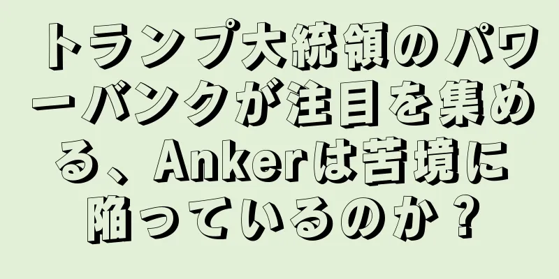 トランプ大統領のパワーバンクが注目を集める、Ankerは苦境に陥っているのか？