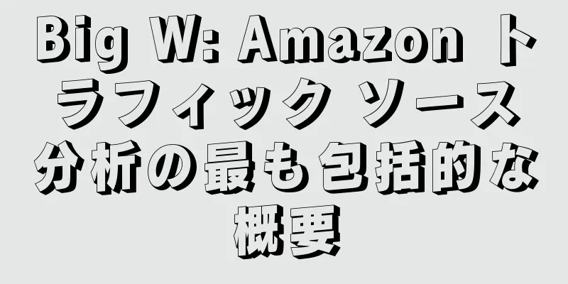Big W: Amazon トラフィック ソース分析の最も包括的な概要